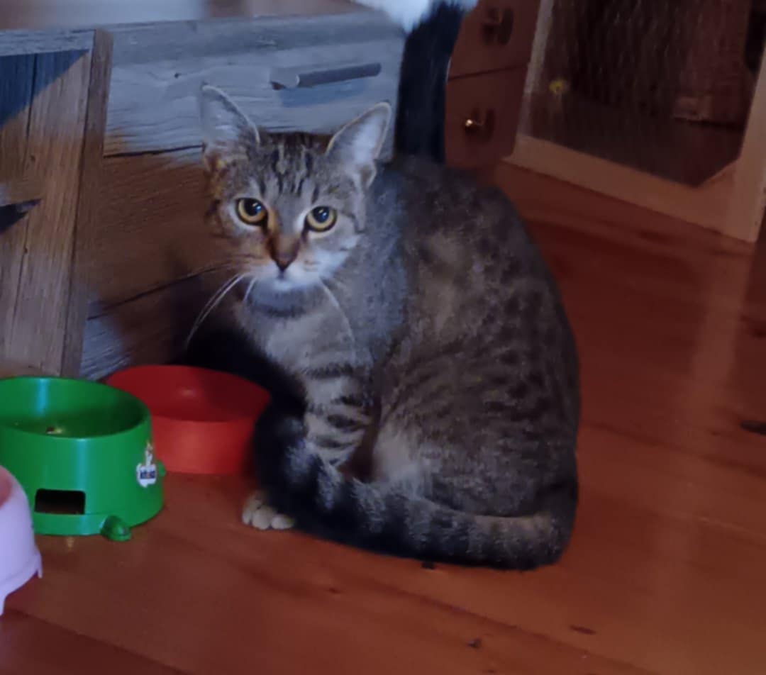 Plachá princezna hledající důvěru